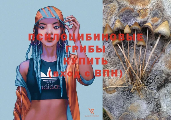 мдпв Абаза