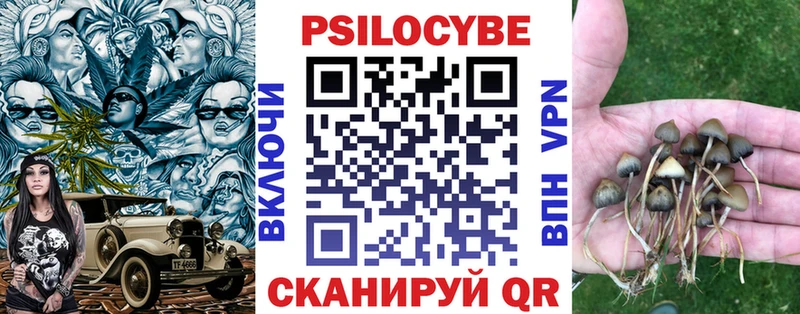 Псилоцибиновые грибы Psilocybe  Торопец 