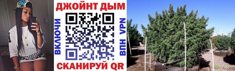 Конопля семена  MEGA   Торопец  цены  
